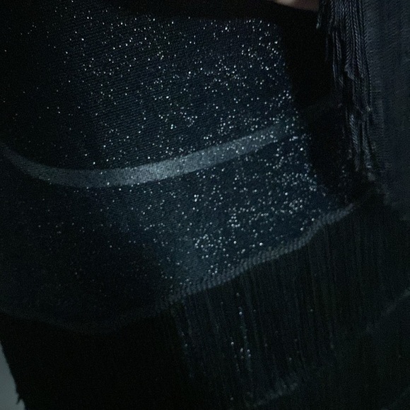 Black Flapper Dress Costume by California Costume Collections L Sparkle Fringe - Picture 10 of 13